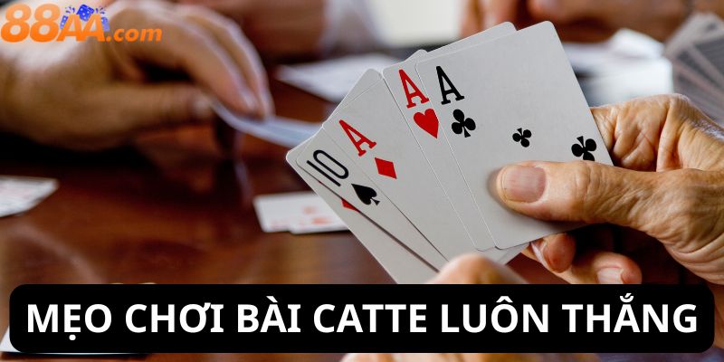 mẹo chơi bài catte luôn thắng